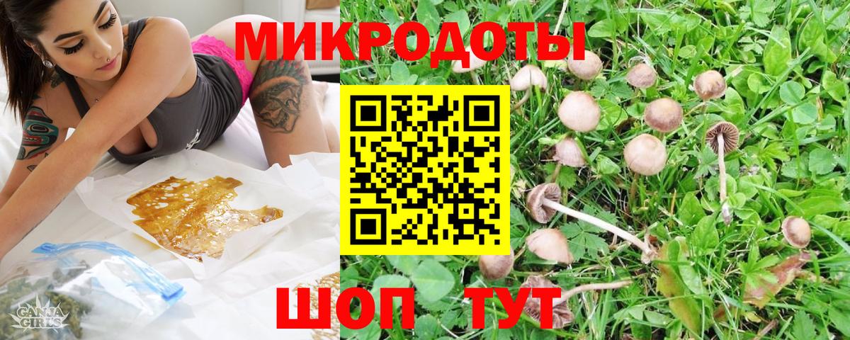 Галлюциногенные грибы MAGIC MUSHROOMS  Вход с VPN  Псилоцибиновые грибы прущие грибы  Карабулак 