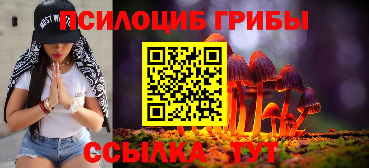 Галлюциногенные грибы мицелий Карабулак